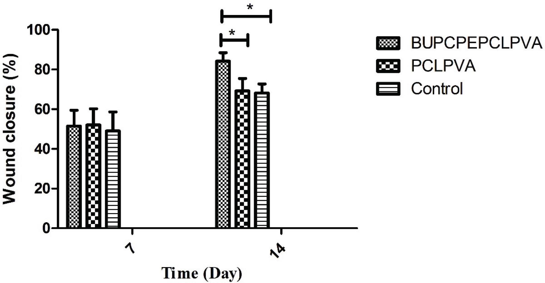 Wound closure study of wounds treated with BUPCPEPCLPVA and PCLPVA wound dressings on days 7 and 14 after wounding, * shows p-value < 0.05
