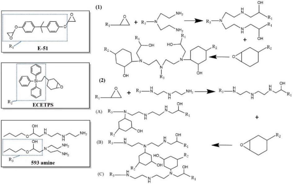 Chemical equations involved in amine curing
