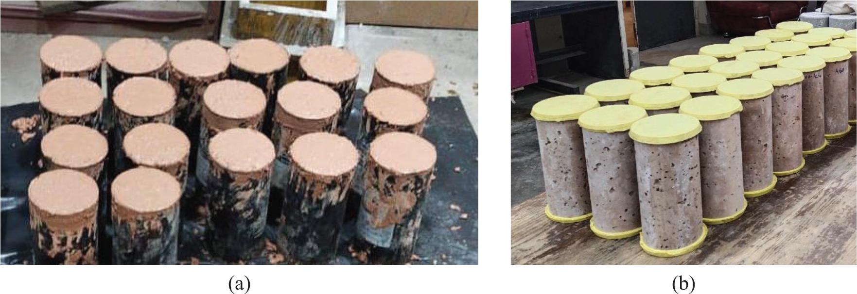 Specimen preparation. (a) Cylinders during casting. (b) Cylinders ready for testing