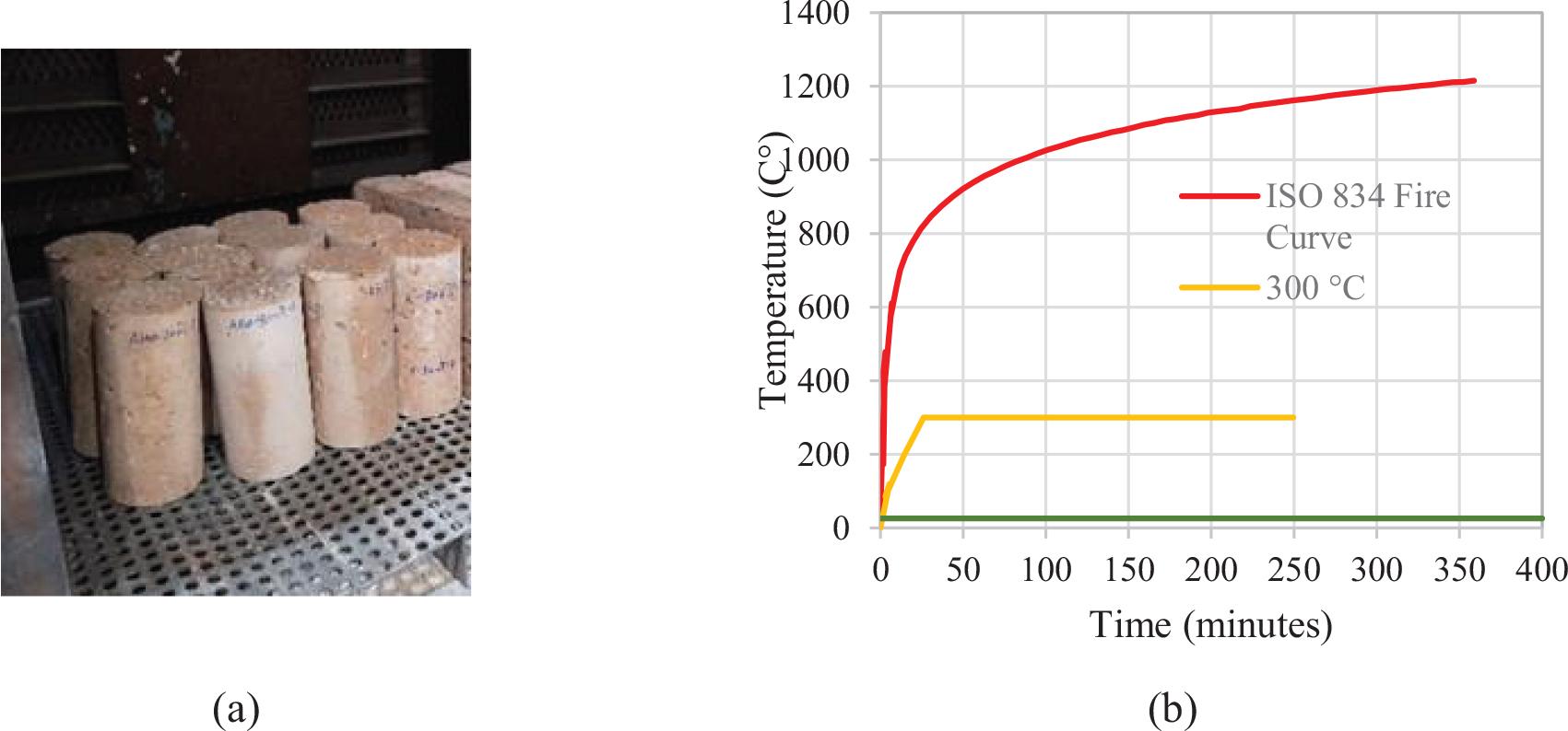 Specimen preparation. (a) Cylinders inside the oven. (b) Time-temperature curves