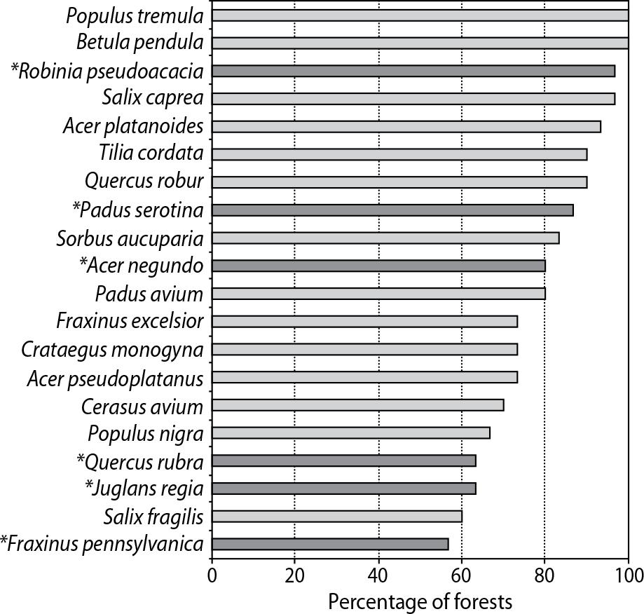 The most common tree species in the analysed forests; * – alien species