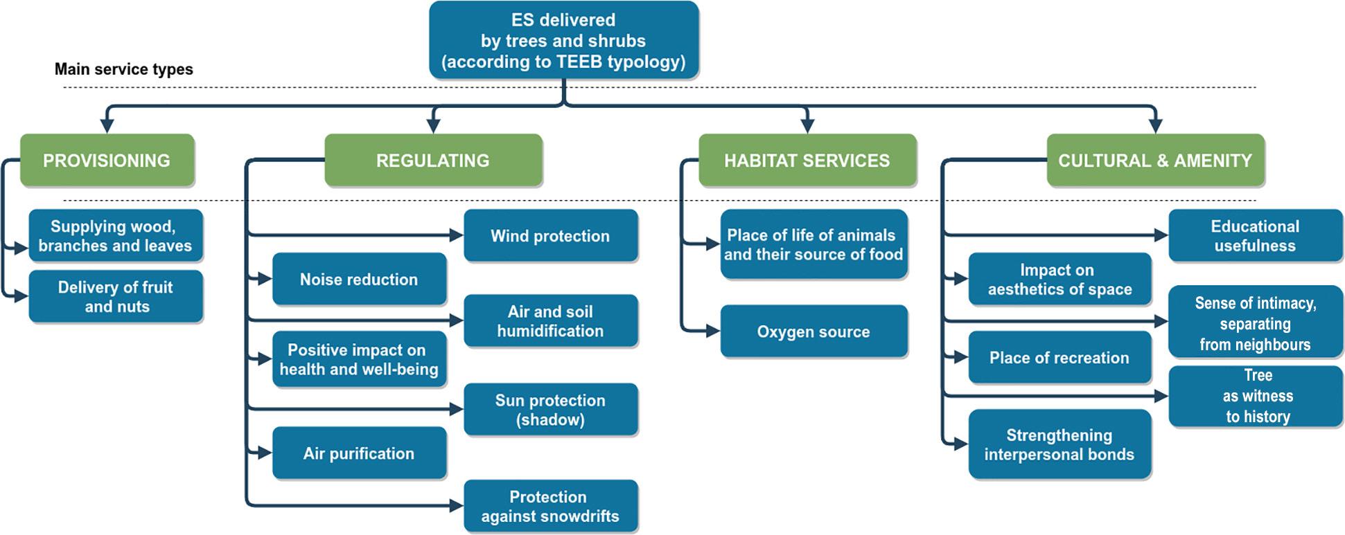 The list of the ecosystem services (ES) provided by trees investigated in the research. Source: own study.