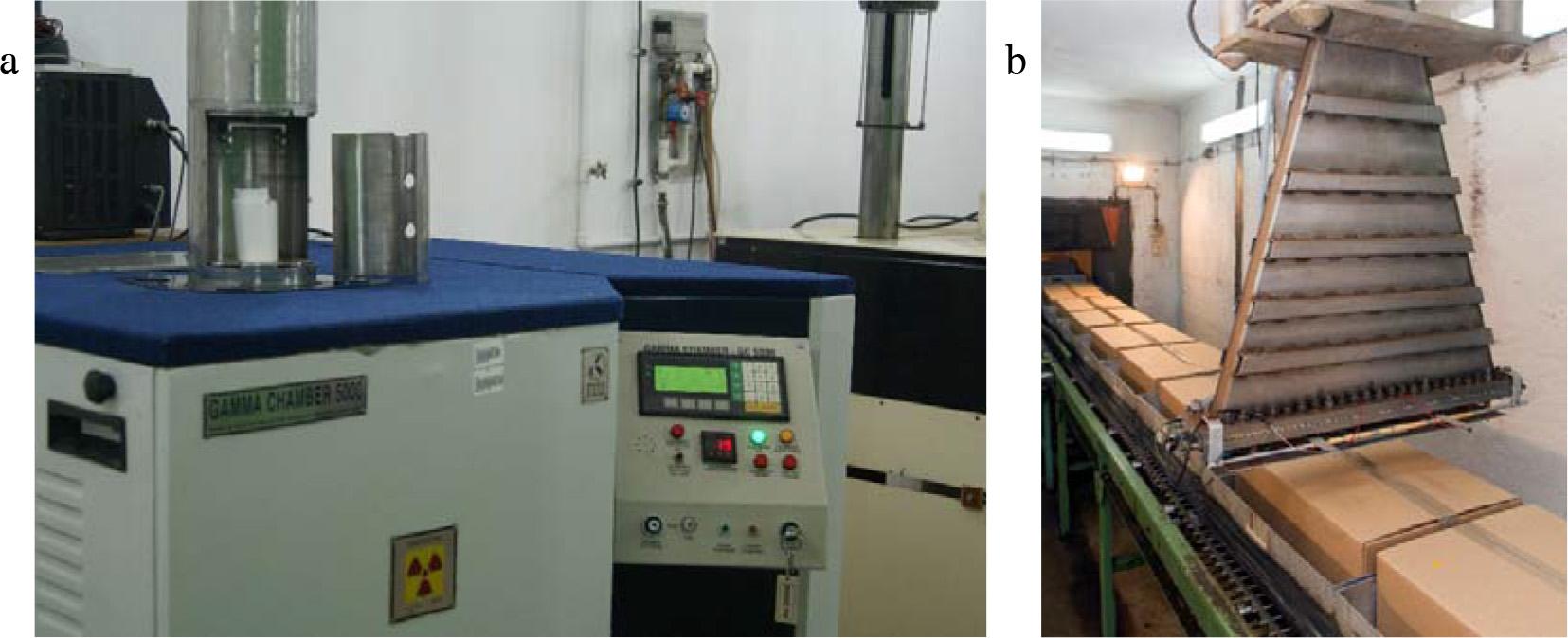Laboratory gamma radiation source (a) and industrial installation with a 10 MeV, 10 kW electron accelerator (b).