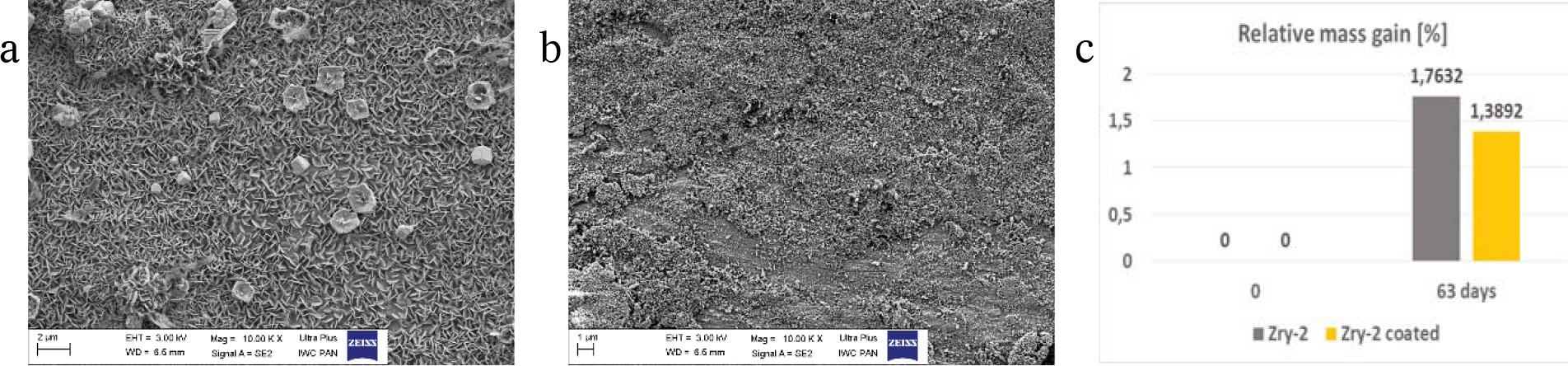 SEM images with X 10 000× magnification of the material surfaces after 63 days oxidation test (a) Zry-2 and (b) Zry-2 coated with Zr40Si24Cr36, (c) mass changes of Zry-2 and Zry-2 coated with Zr40Si24Cr36.