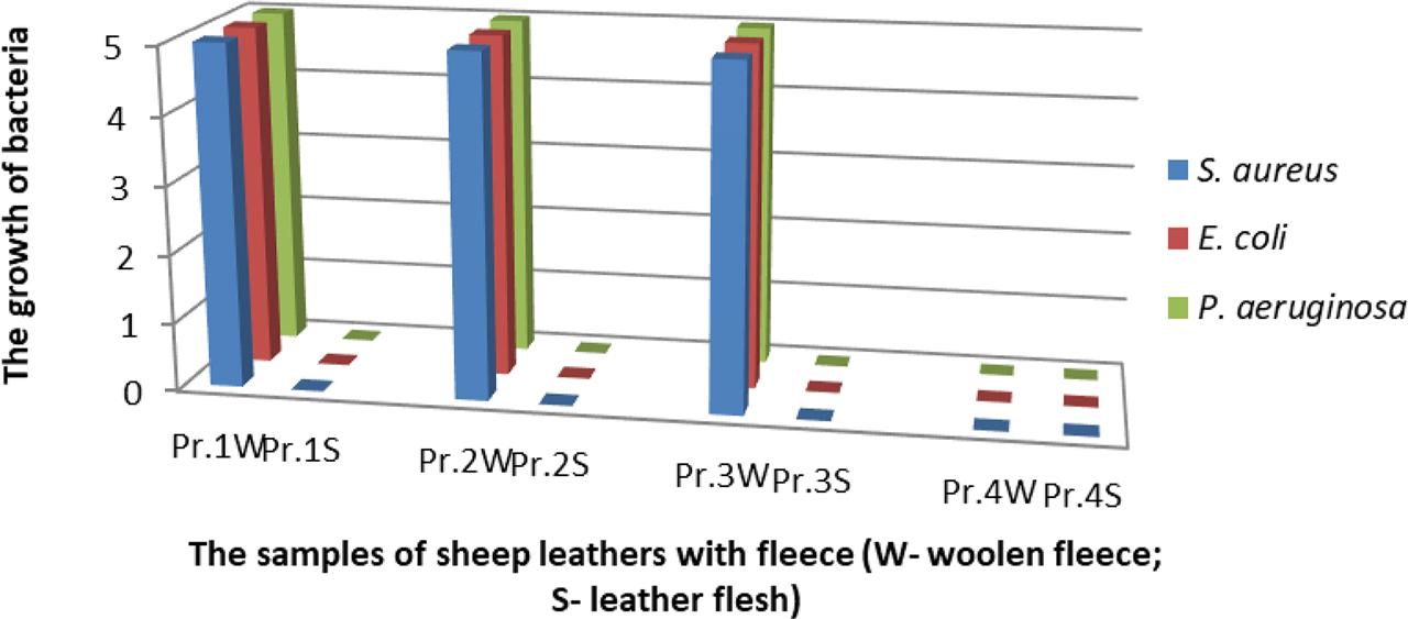 The evaluation of antibacterial activity of sheep leather samples on the flesh and fleece side