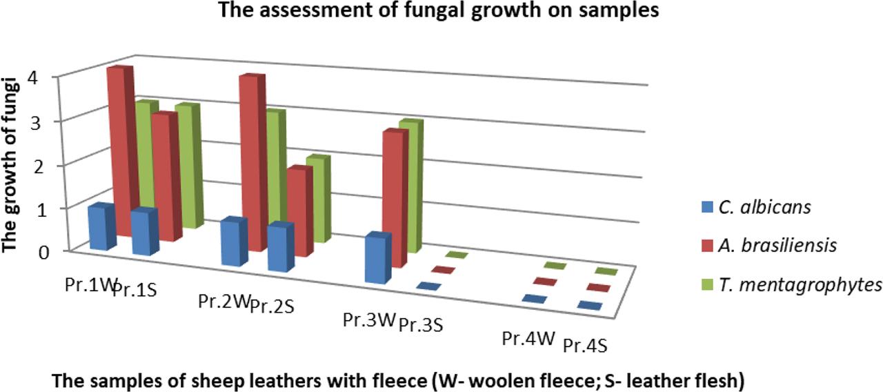 The evaluation of antifungal activity of sheep leather samples on the flesh and fleece side
