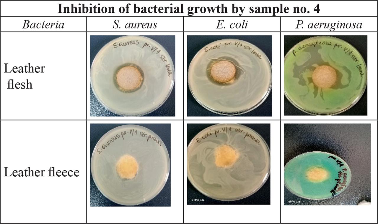 Inhibition demonstration of bacterial growth by sample no. 4