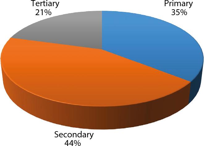 The level of education of SHCFs (n = 174)Source: own primary data.