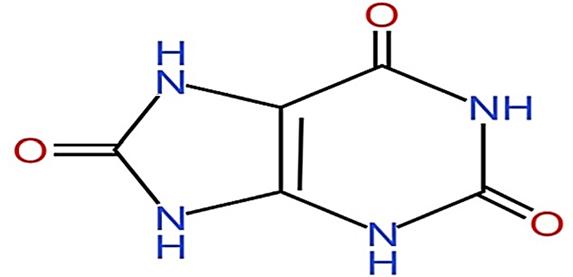 Chemical structure of uric acid.