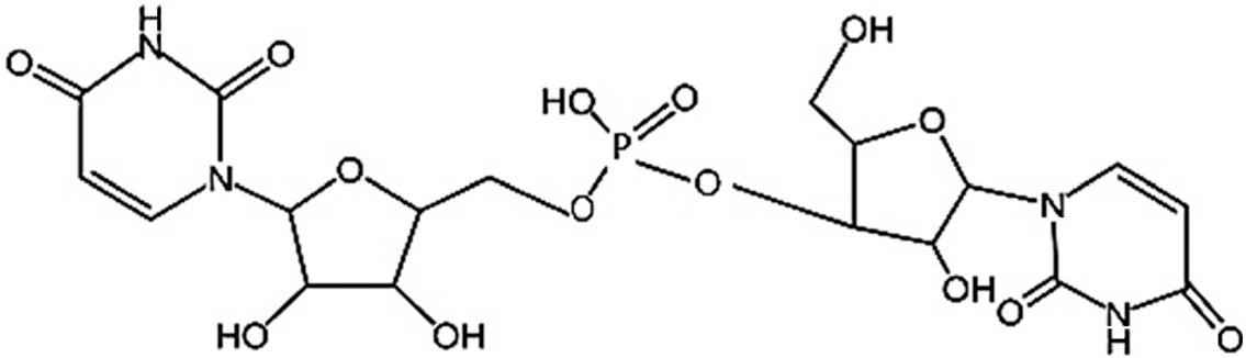 Bacterial uricase (Wu et al. 1989).