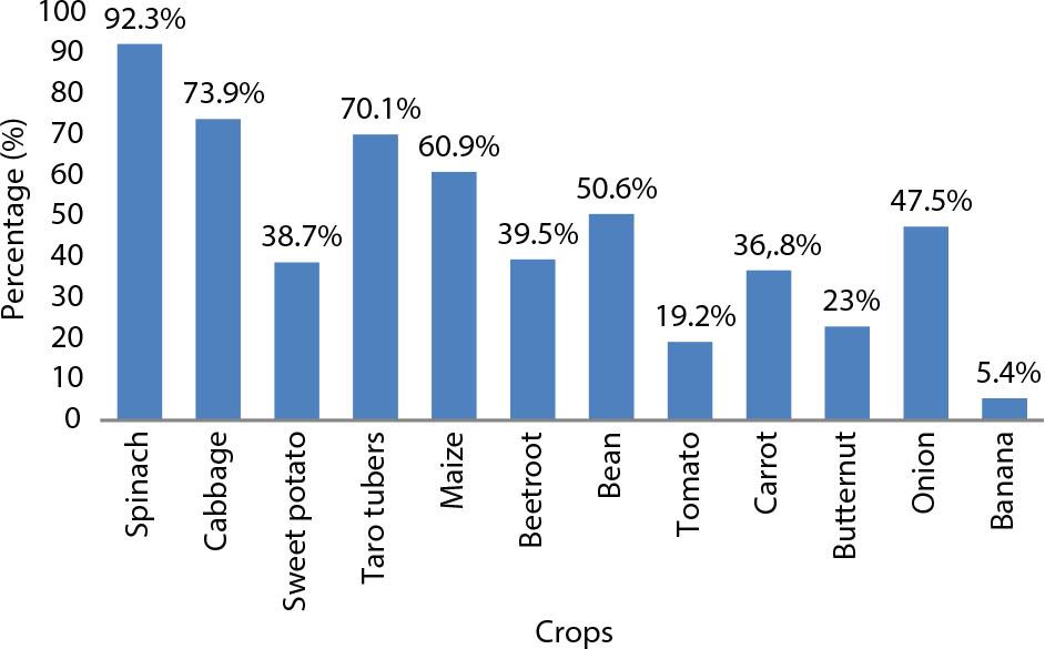 Types of food crops grownMultiple responses were permitted hence the percentages are above 100%.Source: own elaboration.