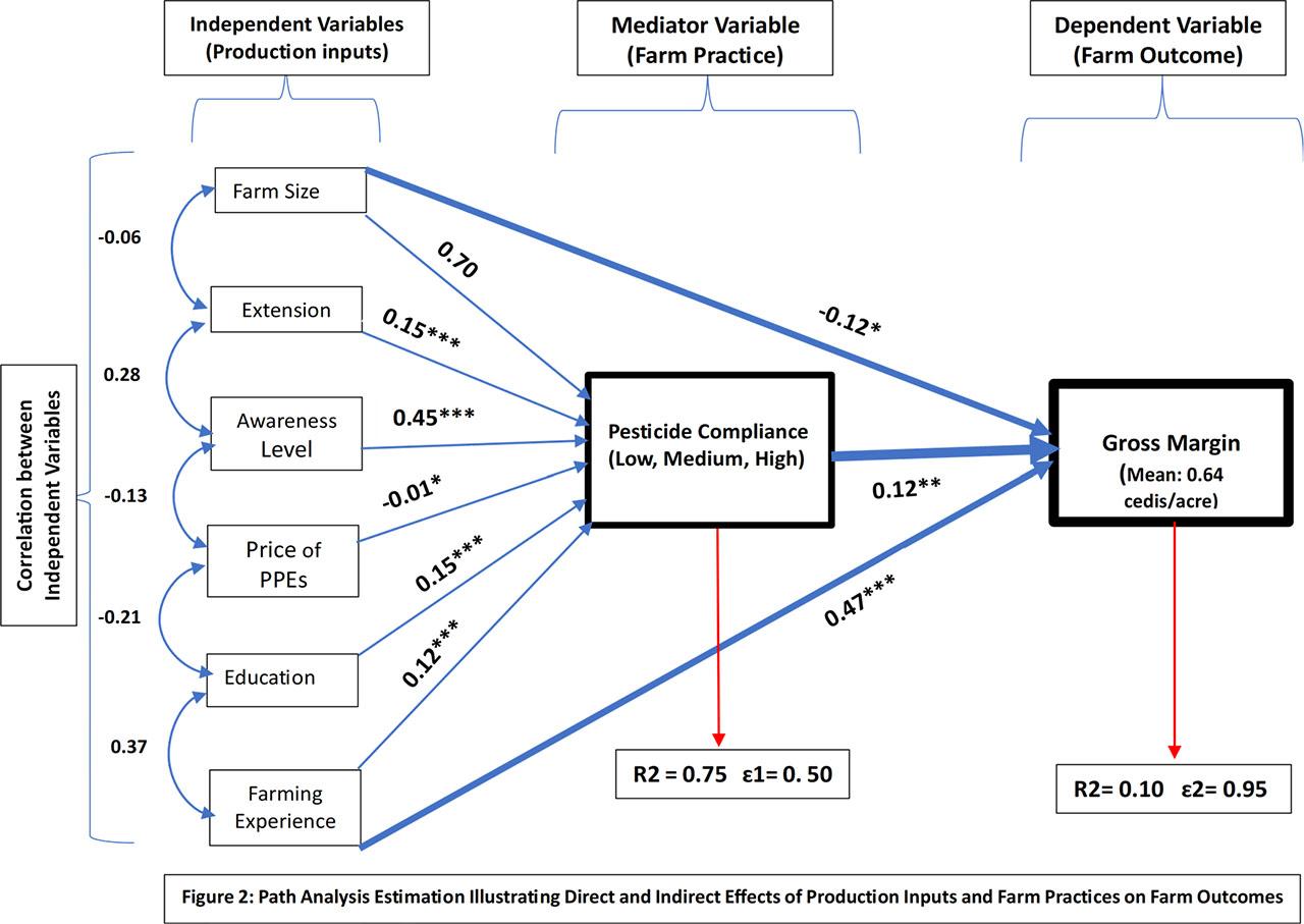 Path analysis estimation illustrating direct and indirect effects of production inputs and farm practices on farm outcomesSource: own elaboration, 2022.