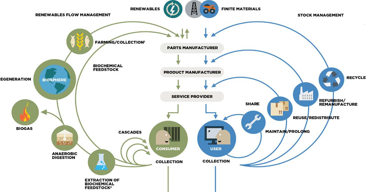 The butterfly diagram: Visualizing the circular economySource: Ellen MacArthur Foundation, 2023.