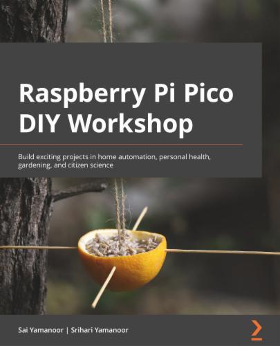 Raspberry Pi Pico DIY Workshop's Cover Image