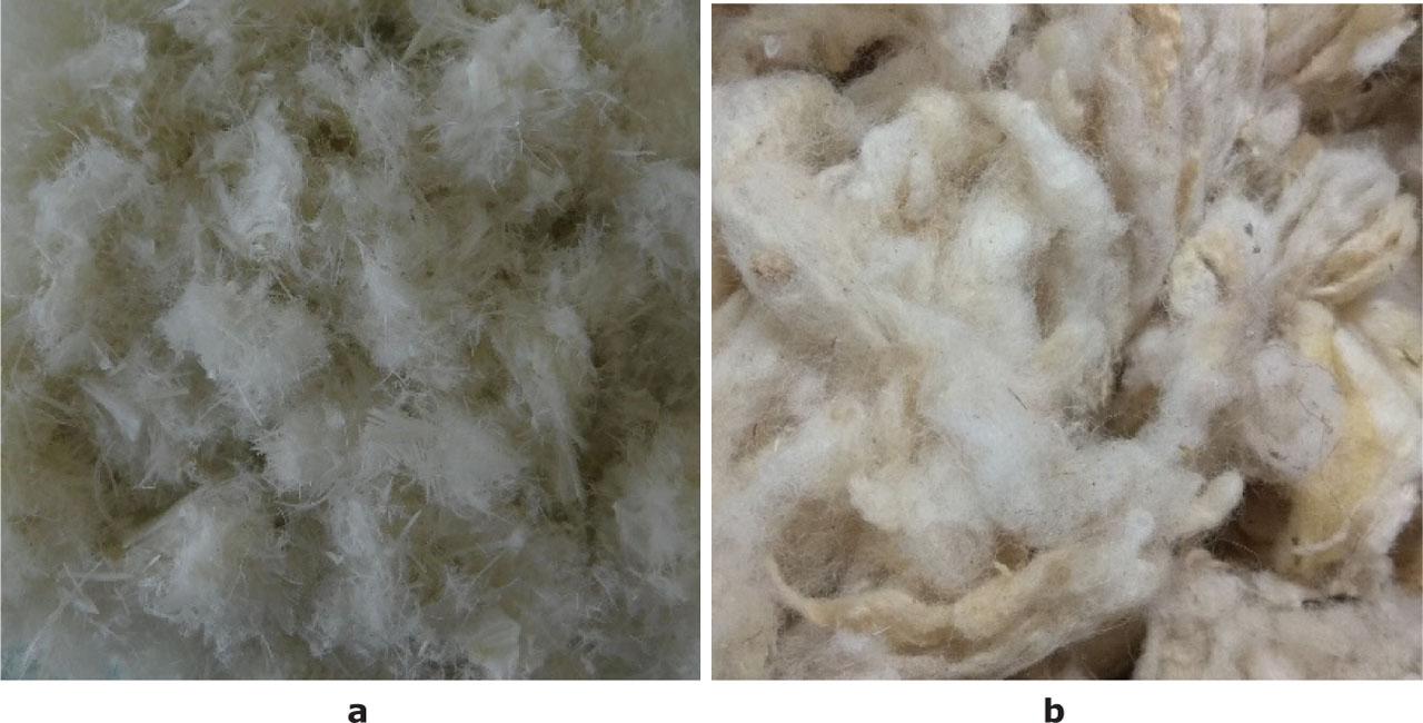Chicken feathers (a) and wool (b)
