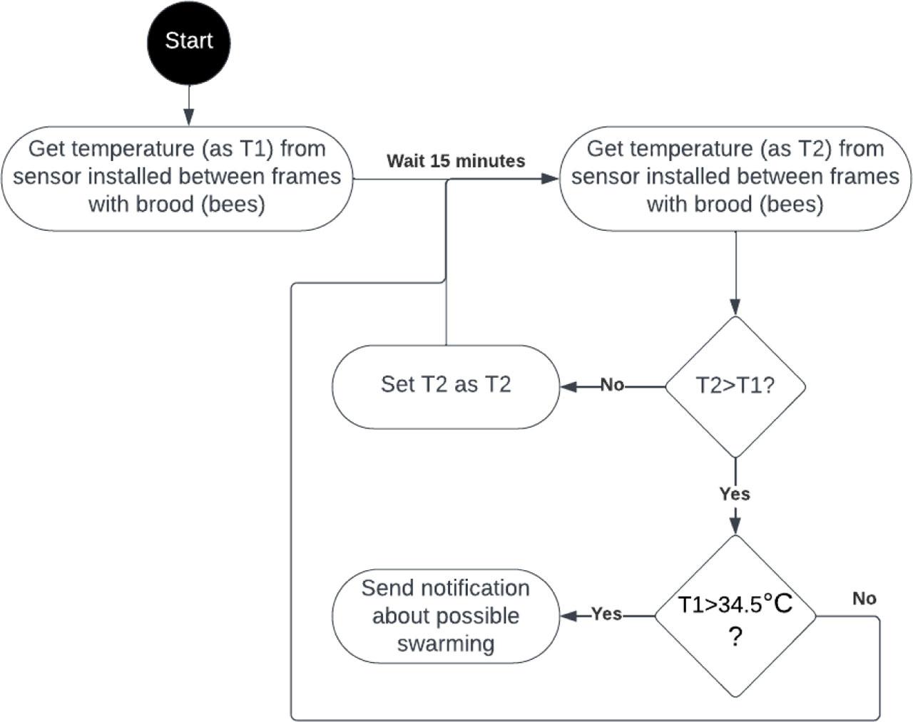 Diagram of how the algorithm for detecting diseases in bees works