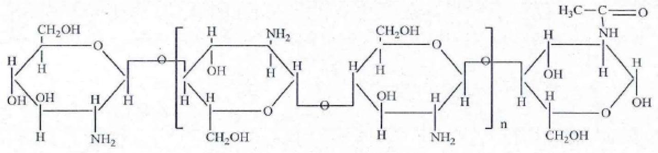 Chitosan molecular structure