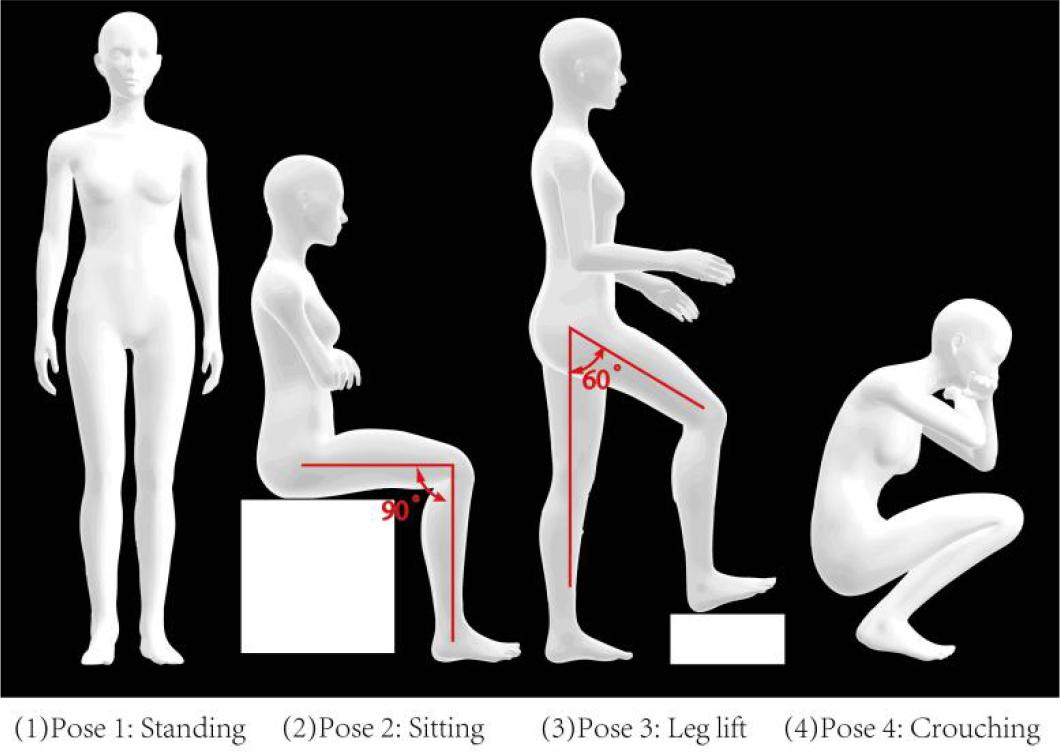 Pose of wearing evaluation and movement adaptability evaluation
