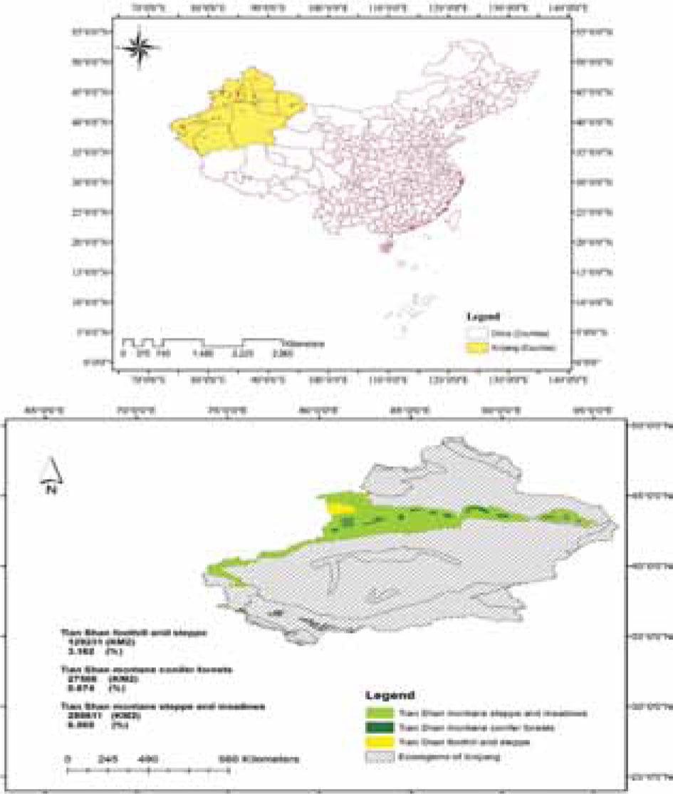 Geographical location of the Tian Shan ecoregions by calculating the area of each three ecoregions in square kilometers and a percentage composed of the whole Xinjiang province