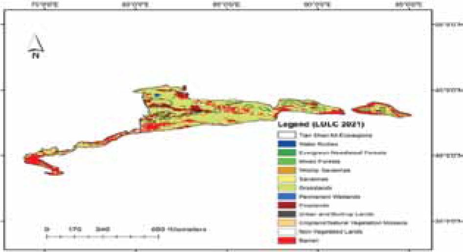Visual pattern and classifications of LULC in 2021 in Tian Shan ecoregions