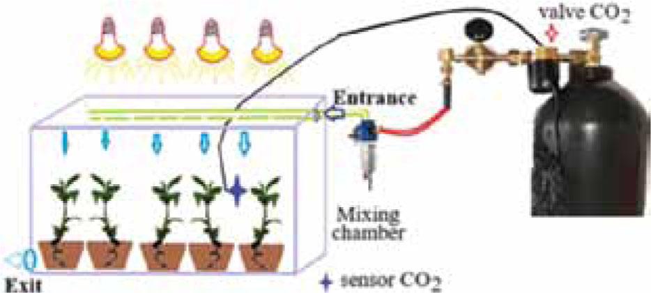 Microclimate maintenance scheme for photoautotrophic nutrition