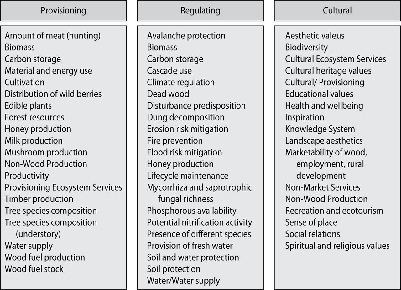Classification of the ecosystem services mentioned in the articles into the three groups of provisioning, regulating and cultural services