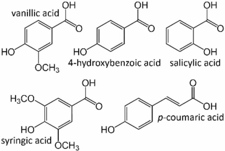 Chemical structures of phenolic acids detected and analysed in our study