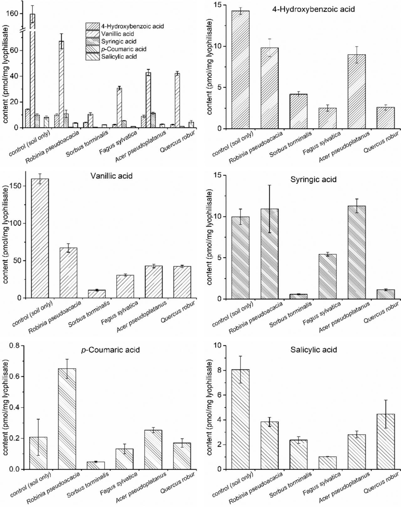 Content of selected phenolic acids in the soil solution of focused trees (n = 3, mean ± st. dev.)