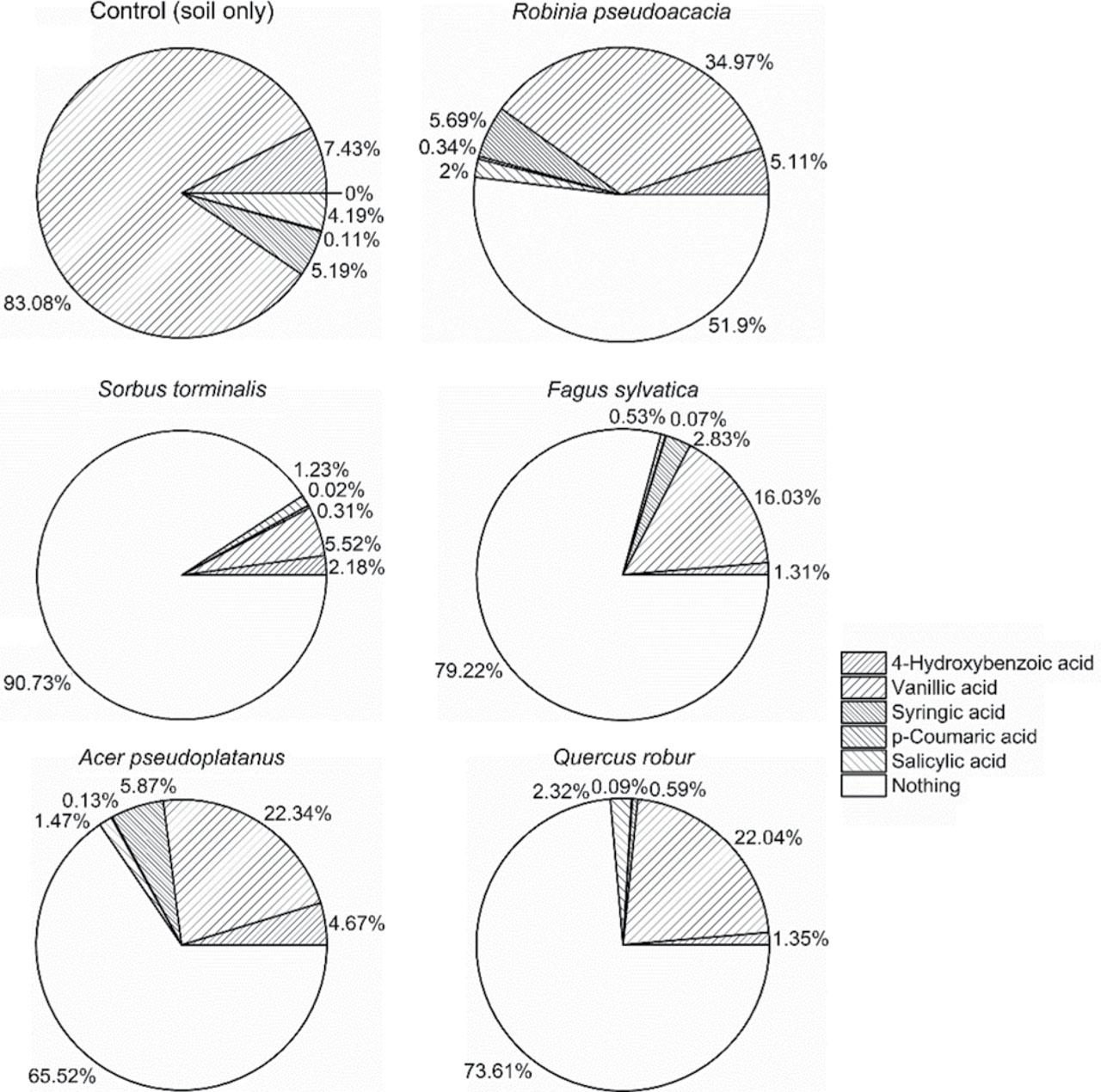 Relative content of phenolic acids detected in the soil solution of each tree compared to their sum in the control (100%)