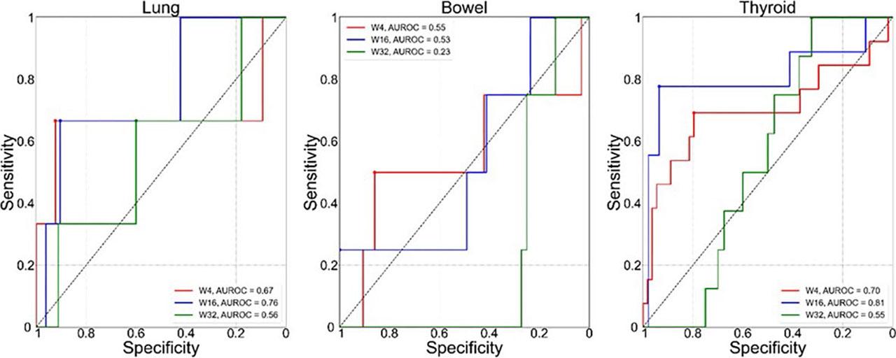ROC curves for the optimal SUV percentile (SUVX%) for predicting irAE status in the three target organs:lung (left), bowel (middle), thyroid (right). Each plot shows comparison of ROC based on the value of SUVX% extracted from W4 (red), W16 (blue) and W32 (green) 18F-FDG PET/CT. Values of corresponding area under the ROC curve (AUROC) are shown in the legends.