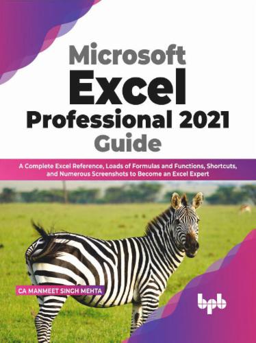 Microsoft Excel Professional 2021 Guide