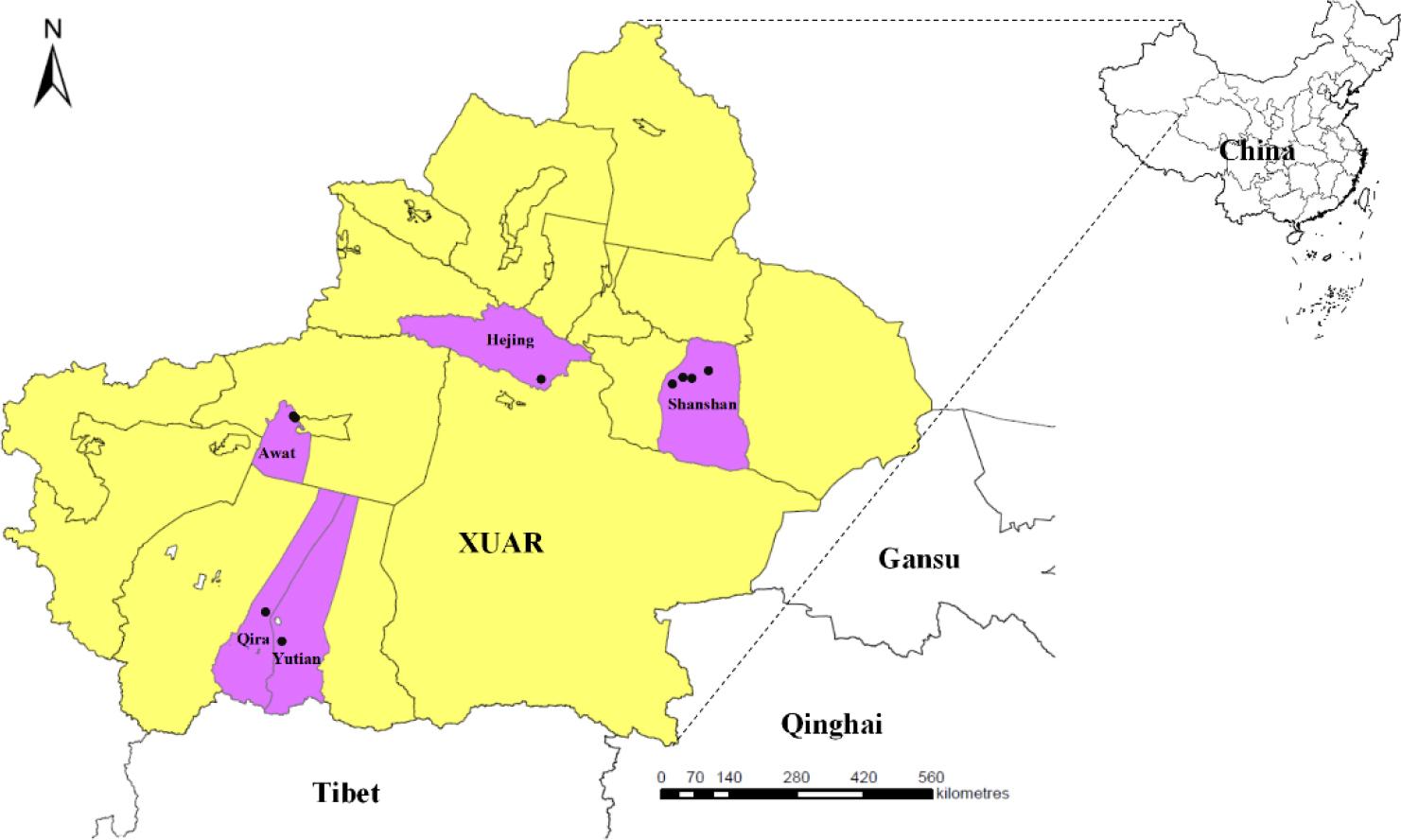 Map of the Xinjiang Uygur Autonomous Region (XUAR), China. The black dots indicate localities where samples were collected