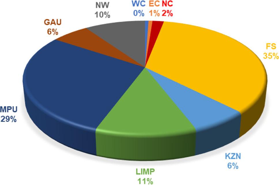 Provincial contribution to dry bean production of South Africa (20-year average)Source: own elaboration