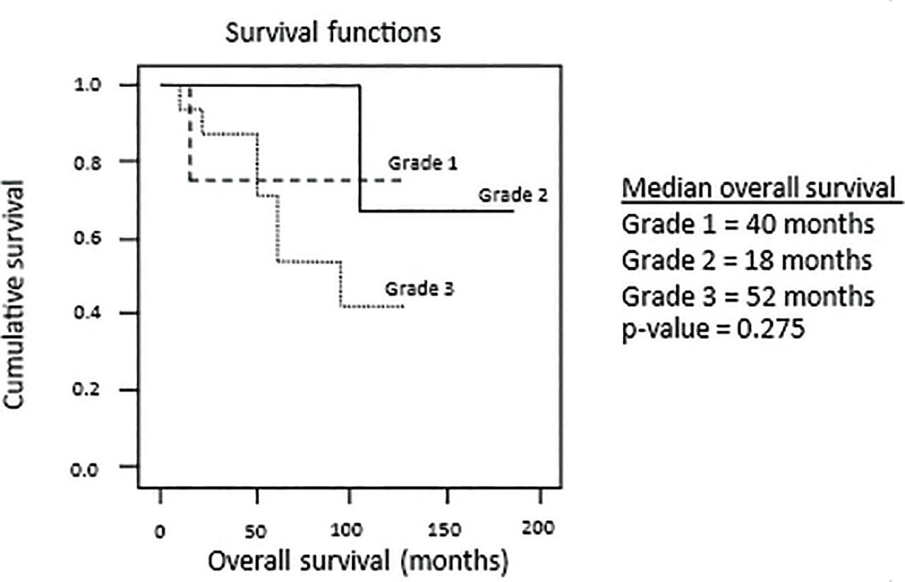 Kaplan–Meier plots of overall survival.