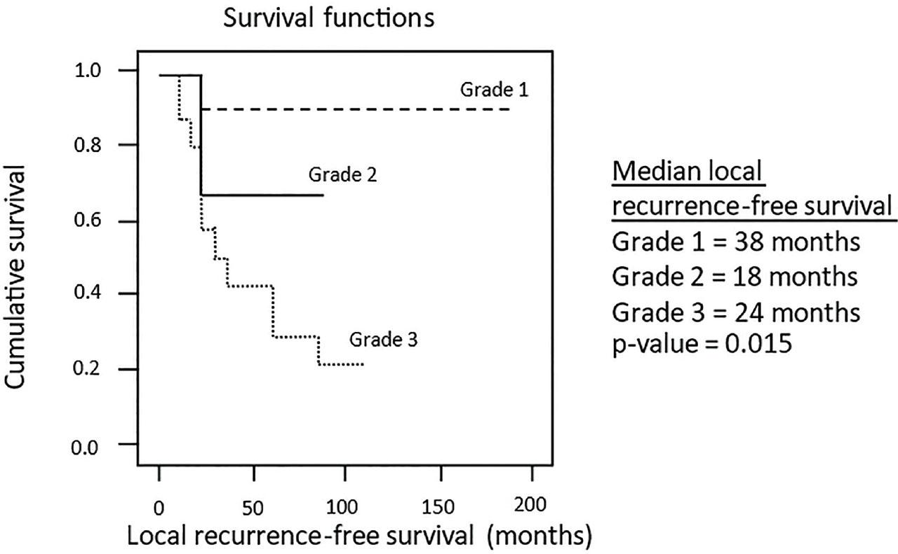 Kaplan–Meier plots of local recurrence-free survival.