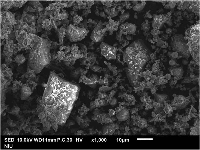 SEM photograph of blended cement.