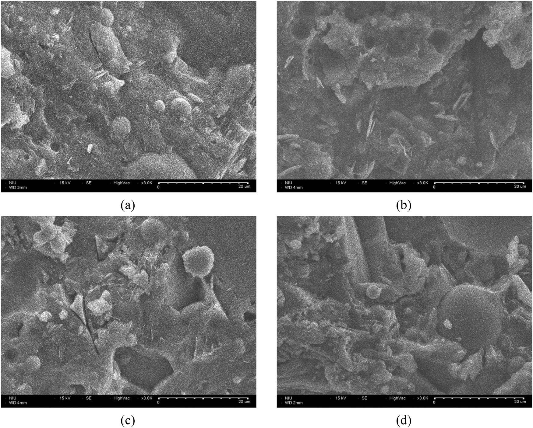 SEM images for A series specimens (×3,000). (a) A1 specimen, (b) A2 specimen, (c) A3 specimen, and (d) A4 specimen.