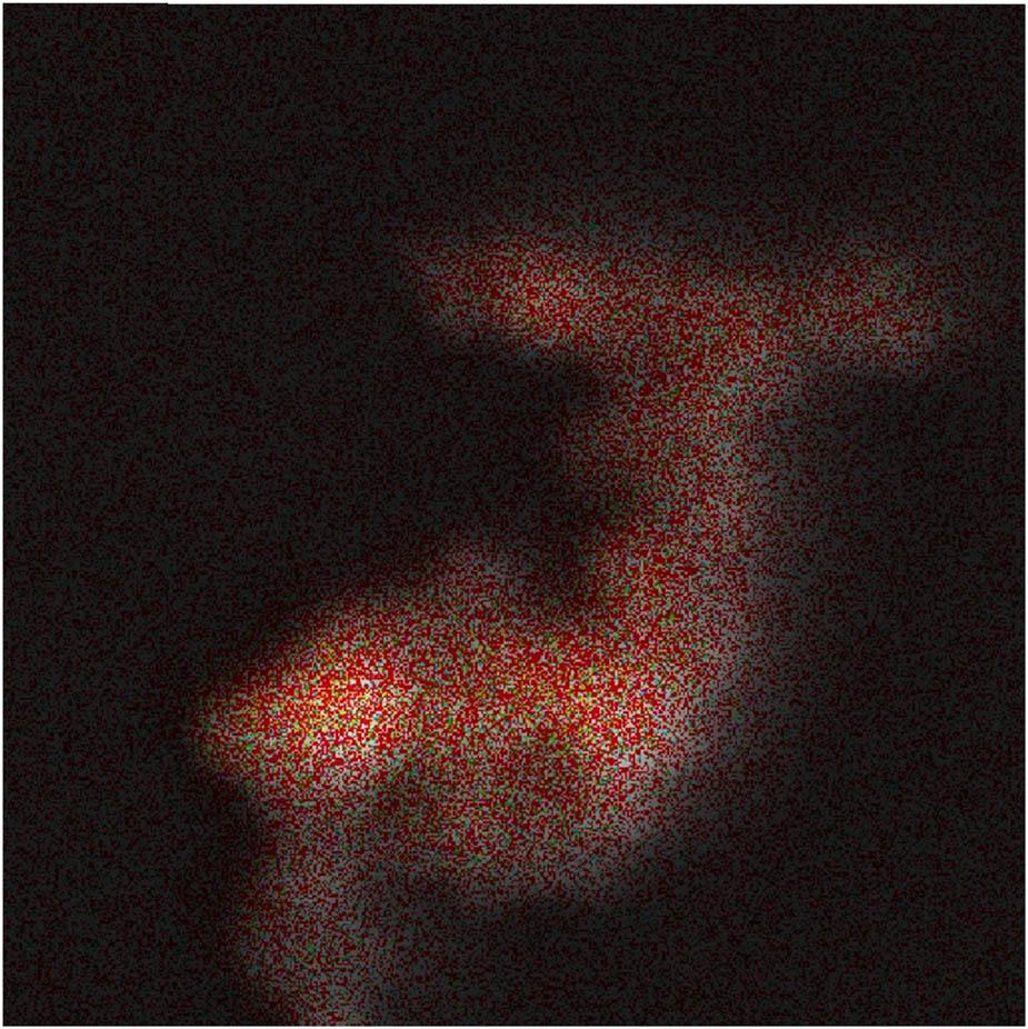 C, N, O, and Cu elements distribution diagram.