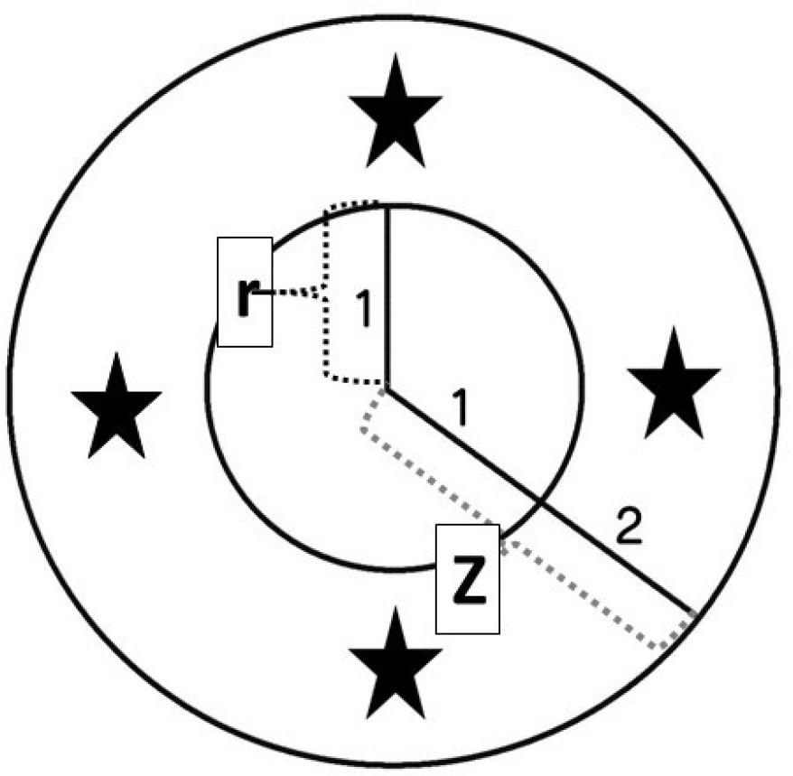 Oesophageal lumen and its wall in horizontal section (homocentric circles**). 1 (r) – radius of oesophageal L – 2 TWTa; Z – 1+2. * measuring points; ** two circles created homocentric (concentric or concentrical) circles with a common centre