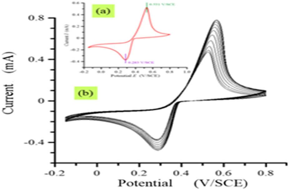 Voltammograms of silver recorded from an FTO/glass electrode immersed in an aqueous solution containing 0.1 M NaNO3 and 5 × 10−2 M AgNO3 at υ = 100 mV/s with pH 5. (a) First run and (b) successive scans.