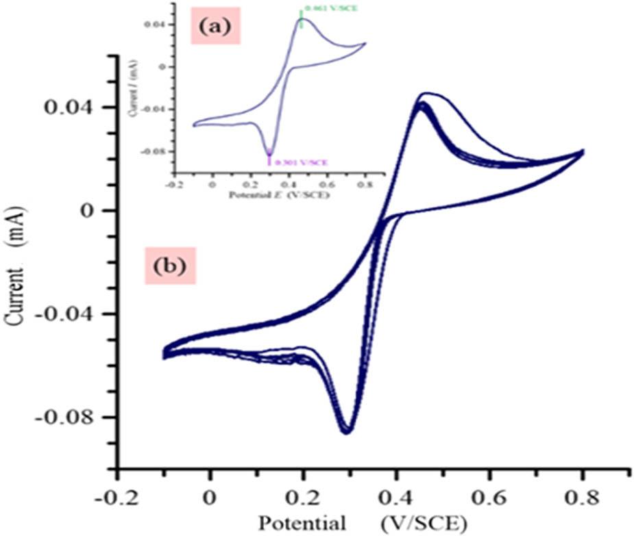 Cyclic voltammograms of silver dissolution on the FTO/Glass electrode modified with a polymer film in an aqueous solution containing 0.1 M NaNO3 and recorded at the speed of υ = 100 mV/s. (a) First run and (b) successive scans.