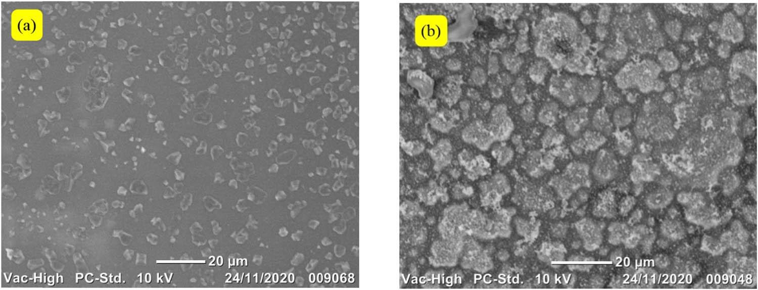 SEM surface images of: (a) a film of PPy-b deposited on an FTO electrode and (b) a modified FTO/polymer (PPy-b) electrode after insertion and reduction of silver microparticles.