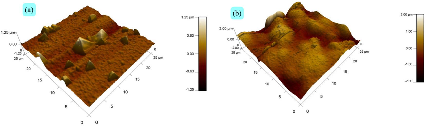 AFM surface images of: (a) a film of PPy-b deposited on an FTO electrode and (b) a modified FTO/polymer (PPy-b) electrode after insertion and reduction of silver microparticles.
