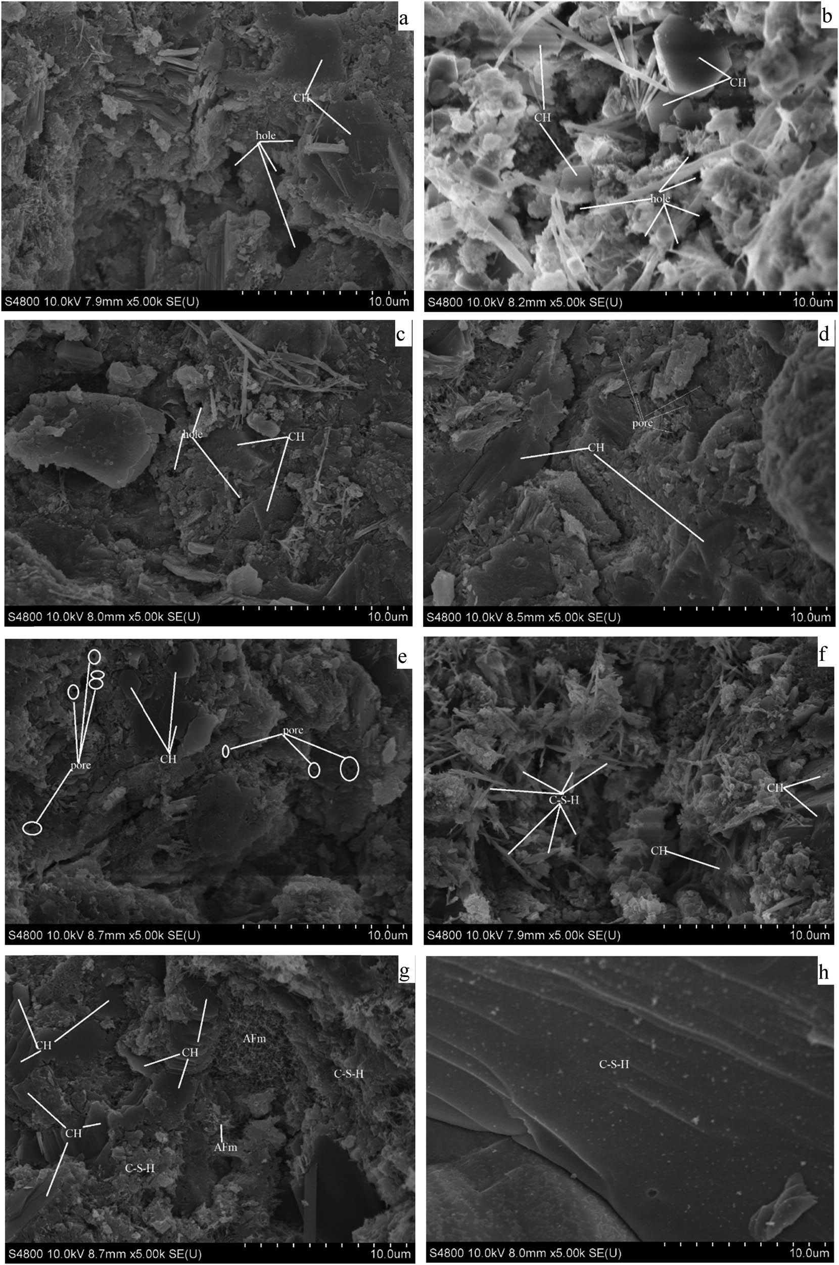 SEM images of samples S1 (a), S2 (b), S4 (c), S5 (d), S6 (e), S7 (f), S8 (g), and S9 (h) at 28 days.