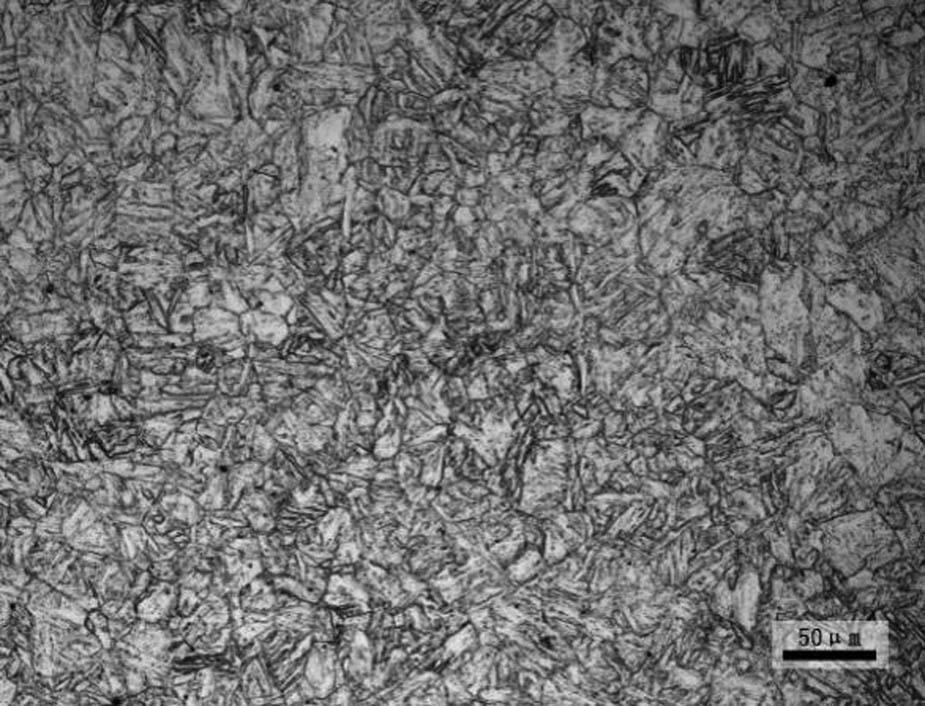 Metallographic morphology of P91 steel.