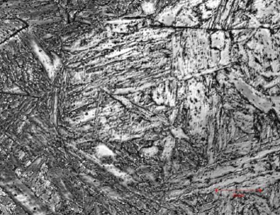 Metallographic morphology of P92 steel (laser confocal microscopy).