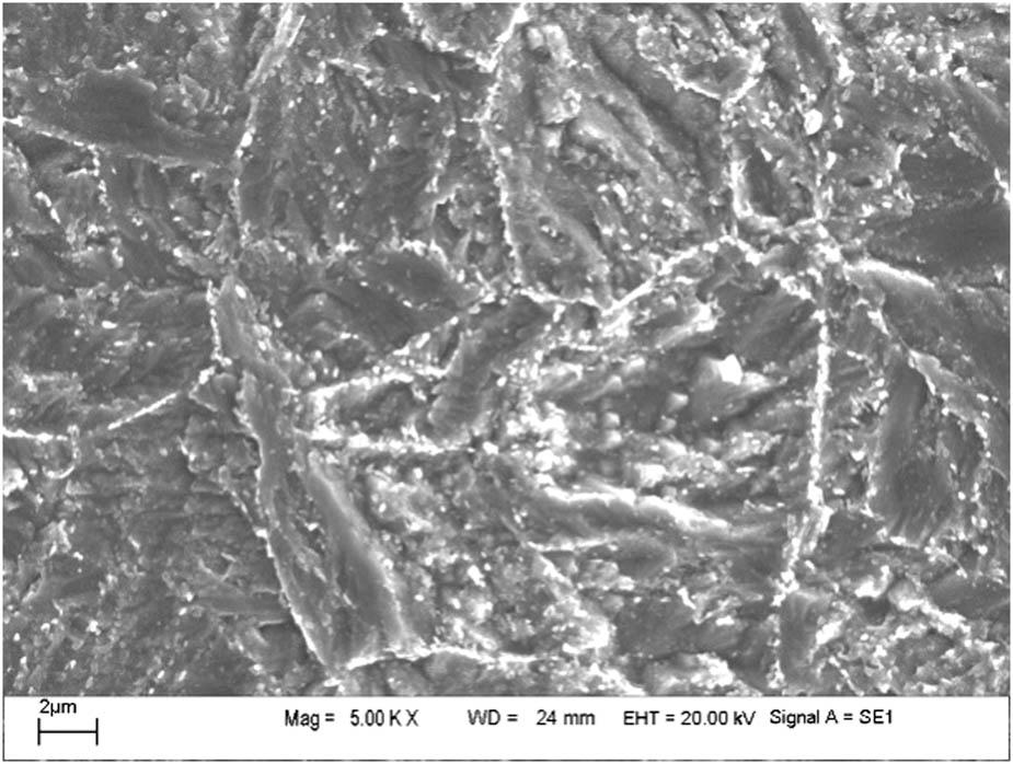 Microstructure morphology of P91 steel (SEM).