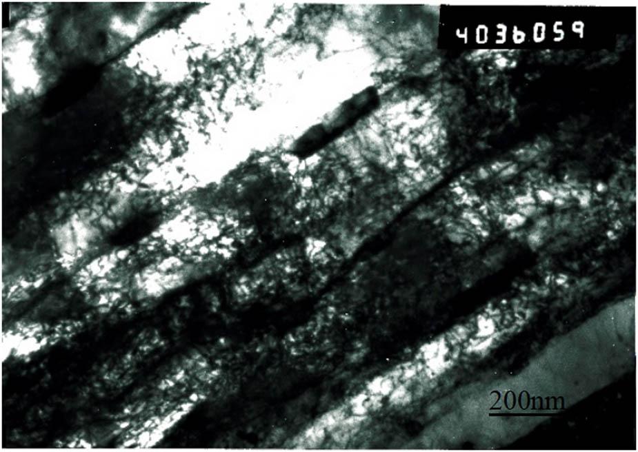 Microstructure morphology of P91 steel (TEM).