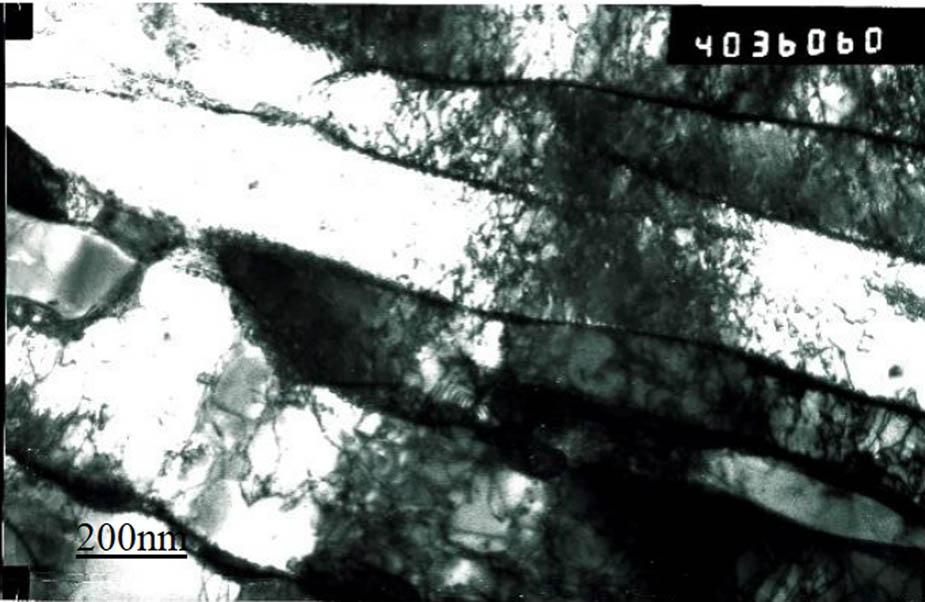 Martensite lath and dislocation entanglement.