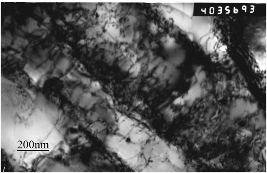 Microstructure of martensitic steel after 40,000 h of operation.